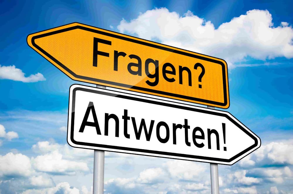Rheindigital- Wie Large Language Models die Suchmaschinen revolutionieren