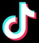 TikTok Logo