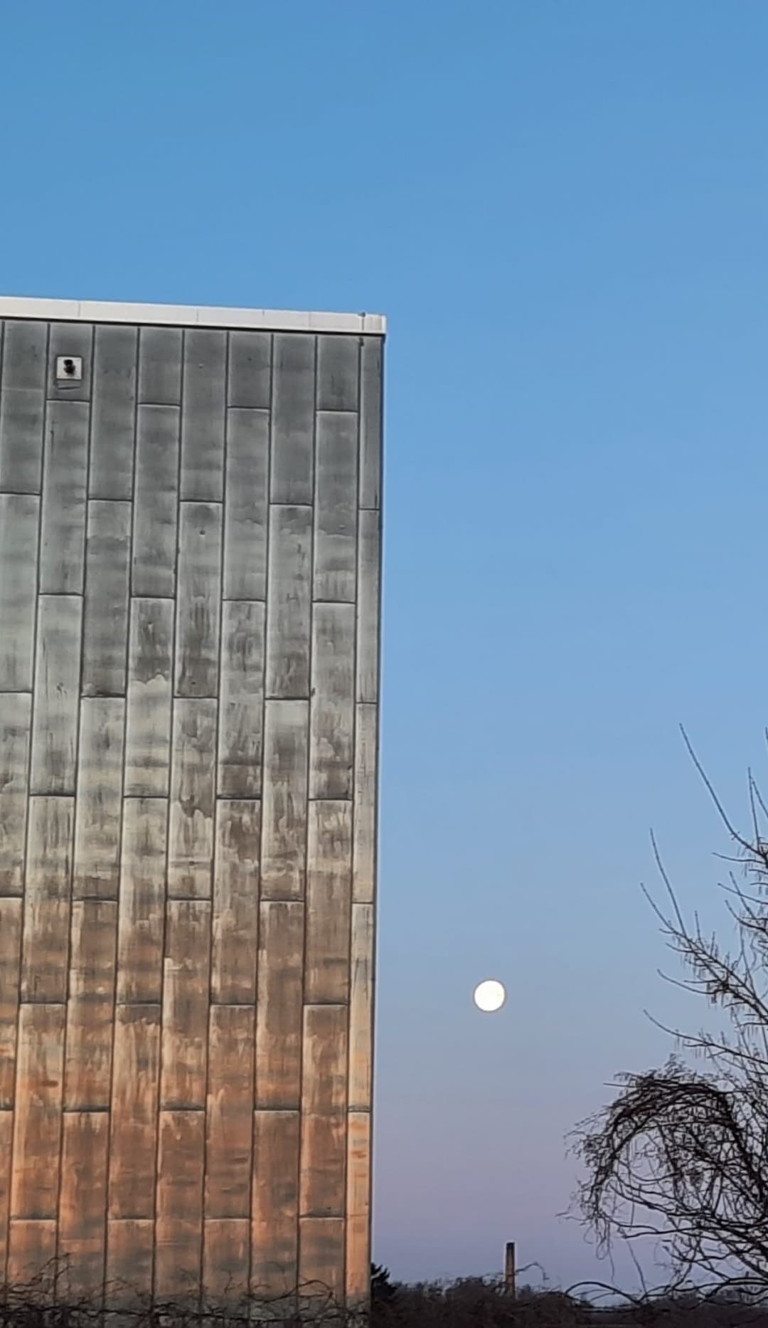 Remote Work in Berlin-Hohenschönhausen: Morgenspaziergang bei Vollmond.