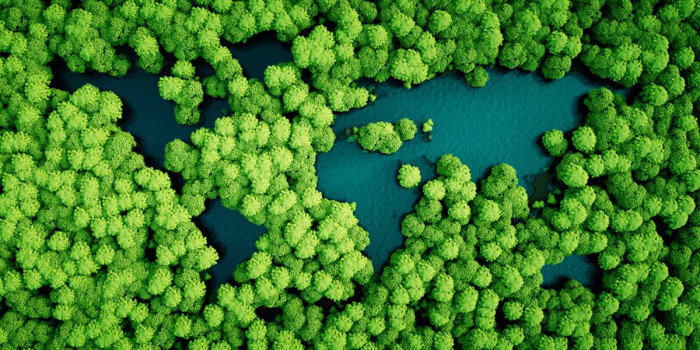 Vogelperspektive auf eine Seenplatte und Wälder. Darin erscheinen die Umrisse der Kontinente als Seen. 